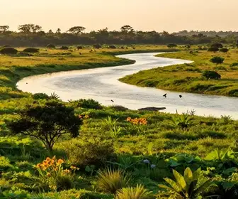 13 melhores lugares para conhecer em Mato Grosso do Sul 13 melhores lugares para conhecer em Mato Grosso do Sul