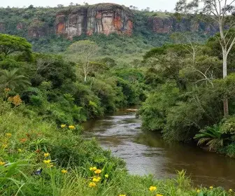 8 melhores opções de ecoturismo em Mato Grosso do Sul