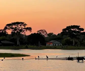 A Fascinante História de Mato Grosso do Sul