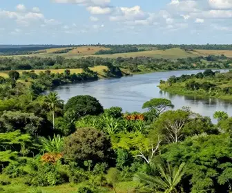 A História da Guerra do Paraguai e seu Impacto em Mato Grosso do Sul A História da Guerra do Paraguai e seu Impacto em Mato Grosso do Sul