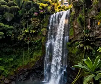 As Maravilhas das Cachoeiras da Serra da Bodoquena As Maravilhas das Cachoeiras da Serra da Bodoquena