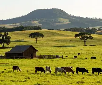 As Melhores Fazendas para Visitar em Mato Grosso do Sul: Turismo Rural em Grande Estilo
