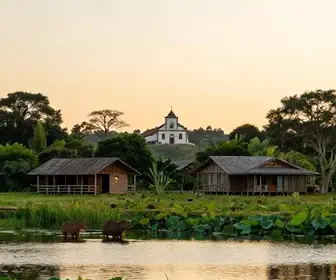 As Melhores Opções de Hotéis no Pantanal de Mato Grosso do Sul