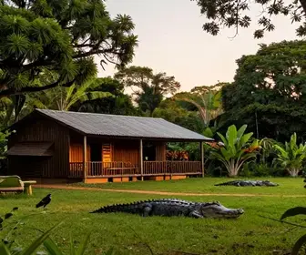 As Melhores Pousadas do Pantanal: Acomodações Imperdíveis em MS