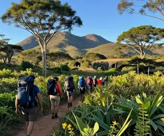 As Melhores Trilhas de Mato Grosso do Sul para Explorar a Natureza