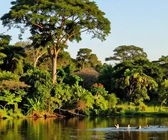 As Melhores Trilhas para Explorar no Pantanal de Mato Grosso do Sul