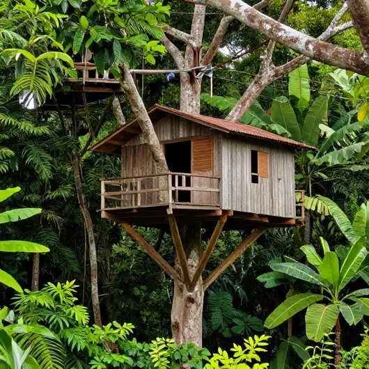 Cabanas Arvorismo: Aventura nas Árvores