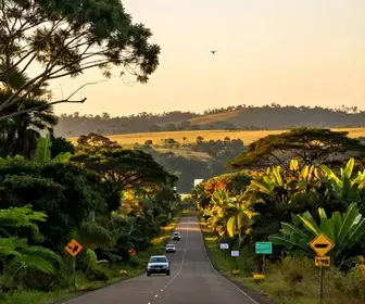Como Chegar ao Mato Grosso do Sul: Dicas e Recursos