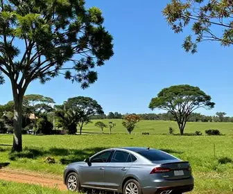 Como Fazer o Aluguel de Carro em Mato Grosso do Sul: Dicas Práticas