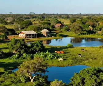 Como o Turismo Sustentável está Transformando Mato Grosso do Sul