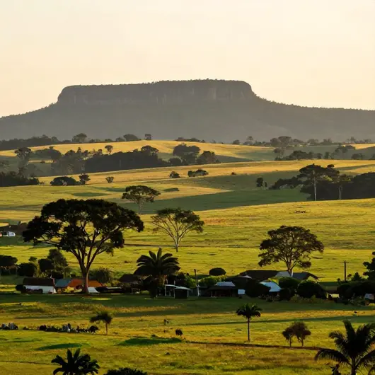 Descubra a Campanha Mato Grosso do Sul