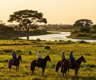 Descubra a Comitiva Pantaneira: Uma Experiência Única no Pantanal de MS