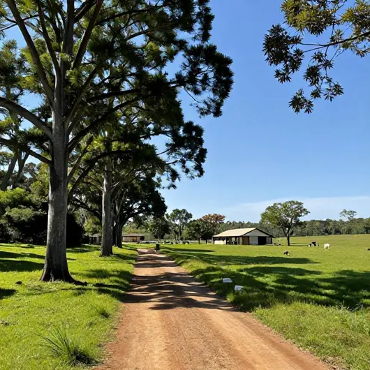 Descubra a Fazenda Igrejinha Ecoturismo e Aventura Descubra a Fazenda Igrejinha Ecoturismo e Aventura