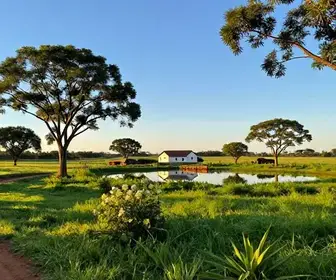 Descubra a Fazenda San Francisco: Um Refúgio Natural em Mato Grosso do Sul Descubra a Fazenda San Francisco: Um Refúgio Natural em Mato Grosso do Sul