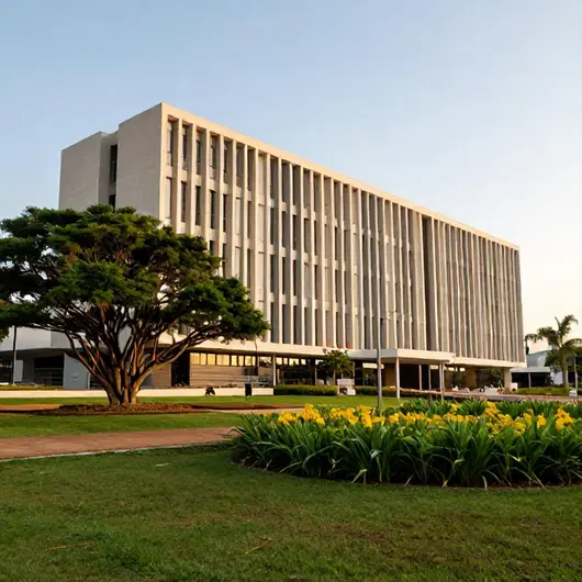 Descubra a Fundação de Cultura de Mato Grosso do Sul