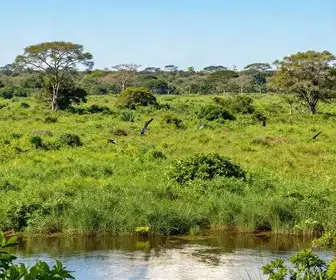 Descubra a Melhor Época para Visitar Mato Grosso do Sul