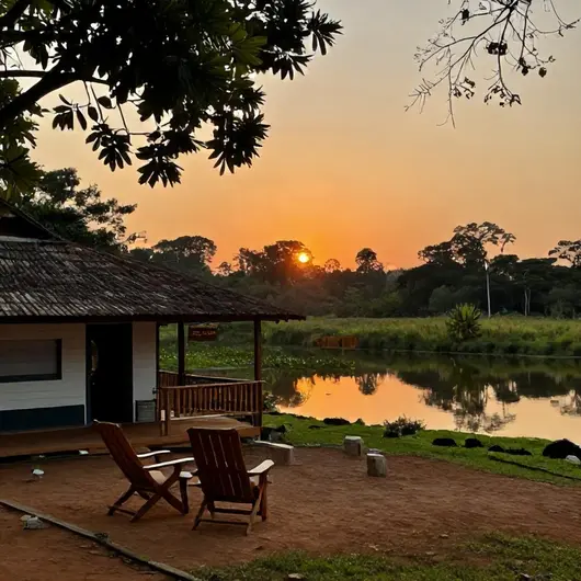 Descubra a Pousada São João: seu refúgio no Pantanal Descubra a Pousada São João: seu refúgio no Pantanal