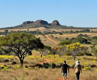 Descubra a Rota do Cerrado em Mato Grosso do Sul