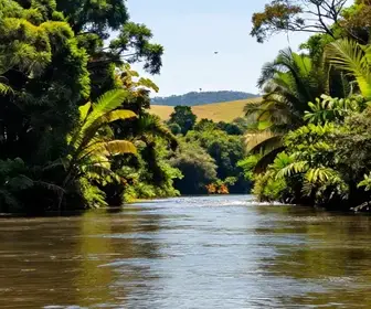 Descubra as Belezas do Rio Aquidauana em Mato Grosso do Sul