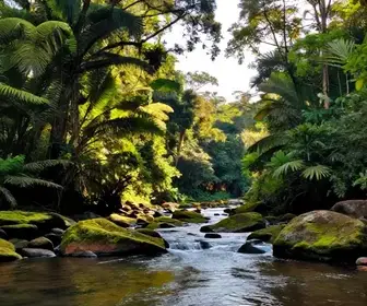 Descubra as Belezas do Rio Mimoso em Mato Grosso do Sul