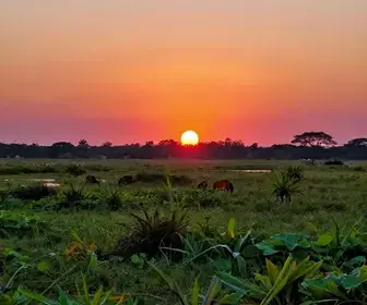 Descubra as Encantadoras Regiões Turísticas de Mato Grosso do Sul