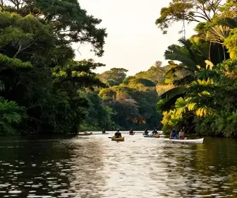 Descubra as Maravilhas do Rio Formoso em Mato Grosso do Sul