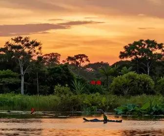 Descubra as melhores atrações em Mato Grosso do Sul: guia completo Descubra as melhores atrações em Mato Grosso do Sul: guia completo