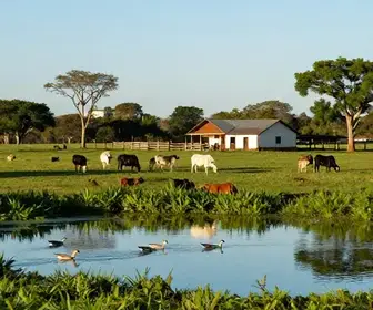 Descubra as Melhores Fazendas Turísticas do Pantanal no MS