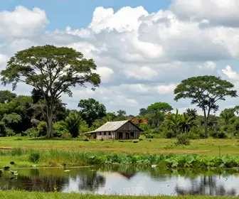Descubra Experiências Inesquecíveis em Fazendas Pantaneiras no MS
