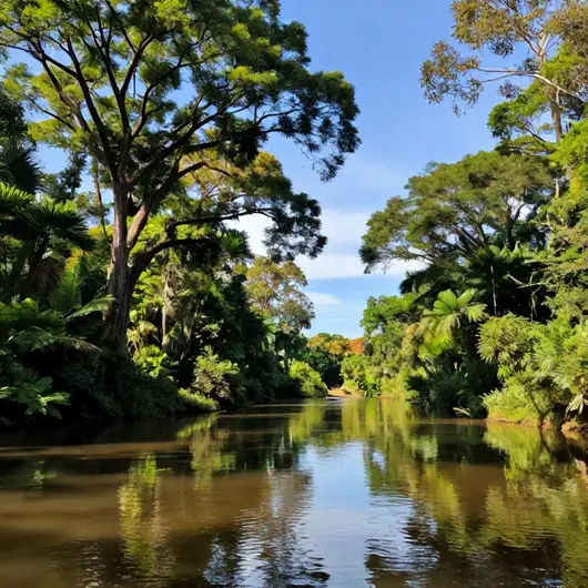 Descubra o Encanto do Mato Grosso do Sul
