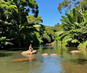 Descubra o Encanto do Rio Sucuri em Mato Grosso do Sul Descubra o Encanto do Rio Sucuri em Mato Grosso do Sul