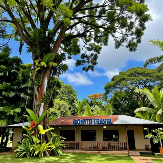 Descubra o Melhor com Bonito Travel