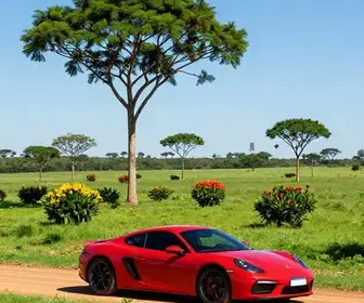 Descubra o Melhor Roteiro de Carro por Mato Grosso do Sul Descubra o Melhor Roteiro de Carro por Mato Grosso do Sul