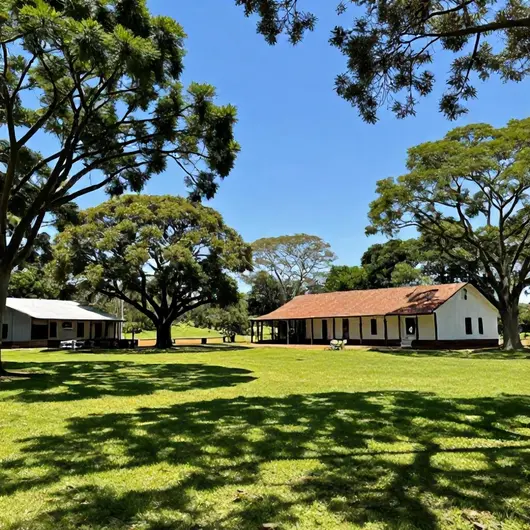 Descubra o Morro Alto Farm Club