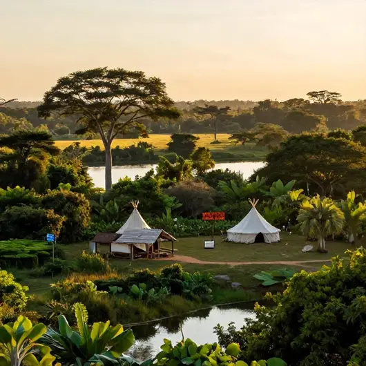 Descubra o Pantanal Experiência