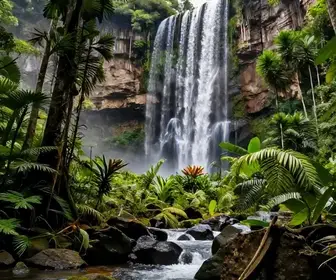 Descubra o Parque Nacional da Serra da Bodoquena: Natureza e Aventura no MS