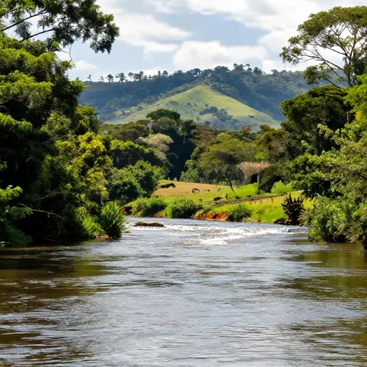 Descubra o Rio do Peixe Bonito MS