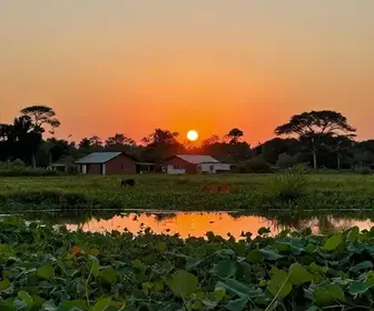 Descubra o Roteiro Ideal de 7 Dias em Mato Grosso do Sul Descubra o Roteiro Ideal de 7 Dias em Mato Grosso do Sul