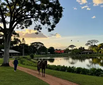 Descubra os Melhores Hotéis Fazenda no Pantanal de MS