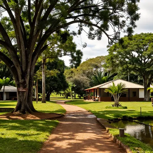 Estância Mimosa: Uma Experiência Única em Contato com a Natureza Estância Mimosa: Uma Experiência Única em Contato com a Natureza