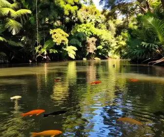 Experiência de Flutuação em Bonito: Um Mergulho na Natureza
