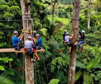 Experiência Imperdível: Arvorismo em Mato Grosso do Sul