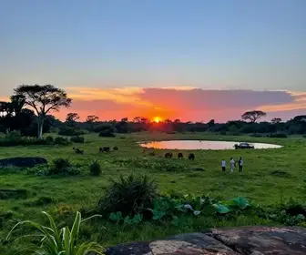 Experiências Imperdíveis em Passeios de um Dia em Mato Grosso do Sul Experiências Imperdíveis em Passeios de um Dia em Mato Grosso do Sul