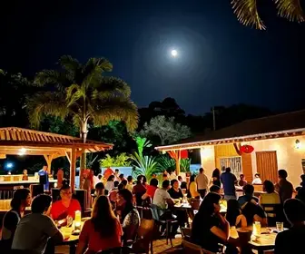 Explorando a Vida Noturna em Bonito - MS: O que Fazer e Onde Ir