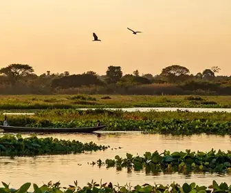 Explorando Mato Grosso do Sul: Roteiro de 3 Dias Inesquecíveis
