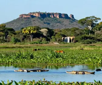 Explorando o Roteiro Completo de Bonito e Pantanal no MS