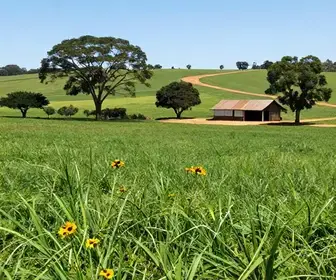 Explorando o Turismo Rural perto de Campo Grande: Natureza e Tradição
