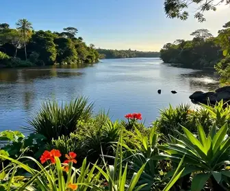 Explore o Rio da Prata: Um Paraíso Natural em Mato Grosso do Sul