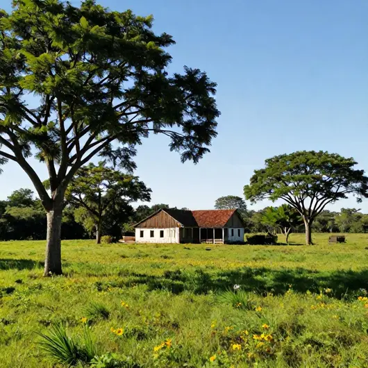 Fazenda San Francisco