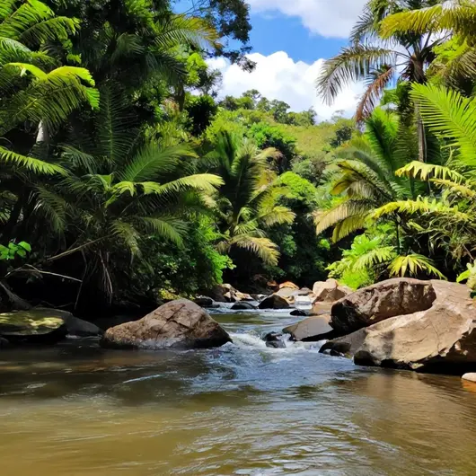 Flutuação Rio da Prata: Uma Experiência Imersiva na Natureza